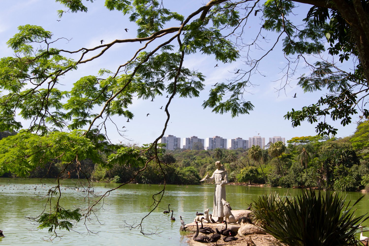 LAGO ZOO SP- foto Paulo Gil- ZooSP